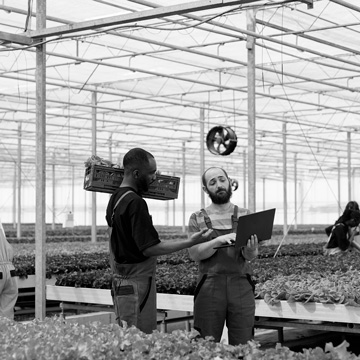 Special Farming Issues in Agricultural Accounting and Bookkeeping