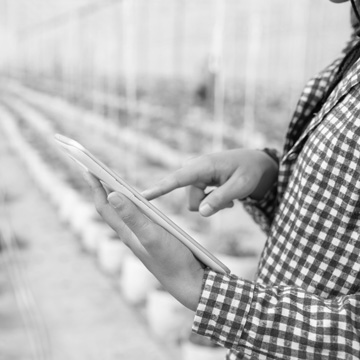 Setting Up the Accounts for Agricultural Businesses in Canada