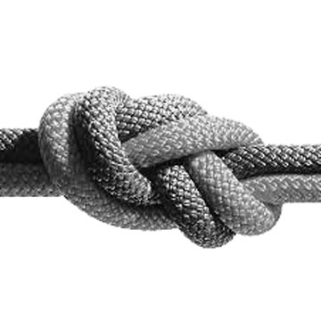 2. Trust is Good. Having Suitable Internal Controls as well is Better